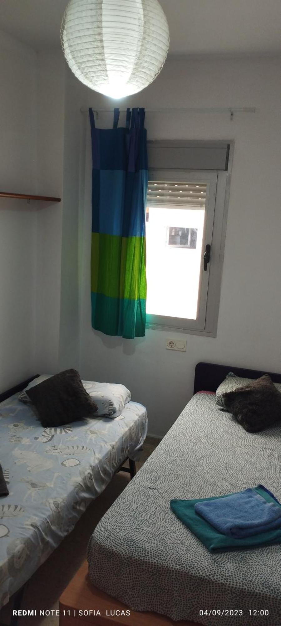 Disfruta Granada,Incluso Con Tu Mascota Parking Daire Dış mekan fotoğraf