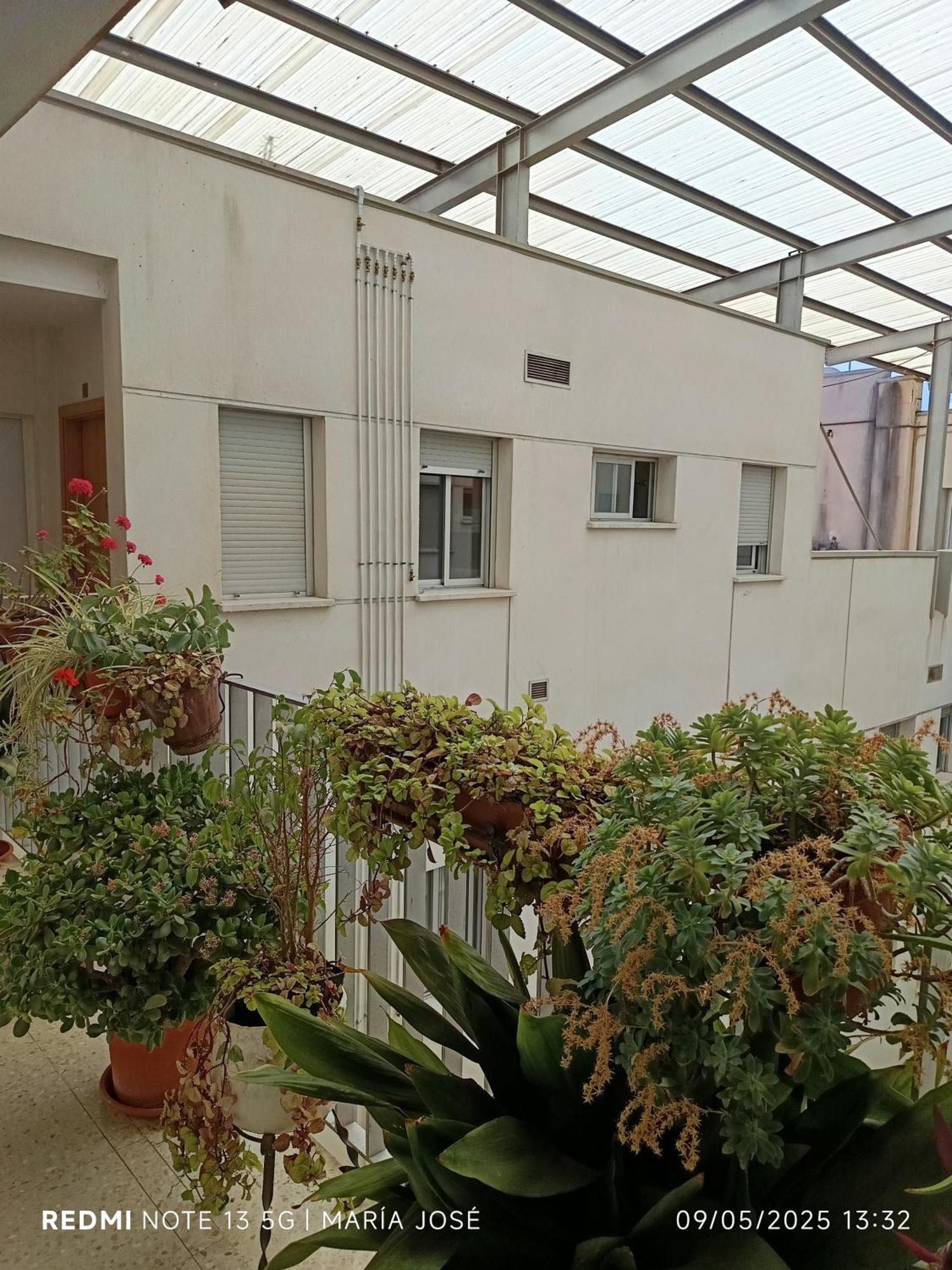 Disfruta Granada,Incluso Con Tu Mascota Parking Daire Dış mekan fotoğraf